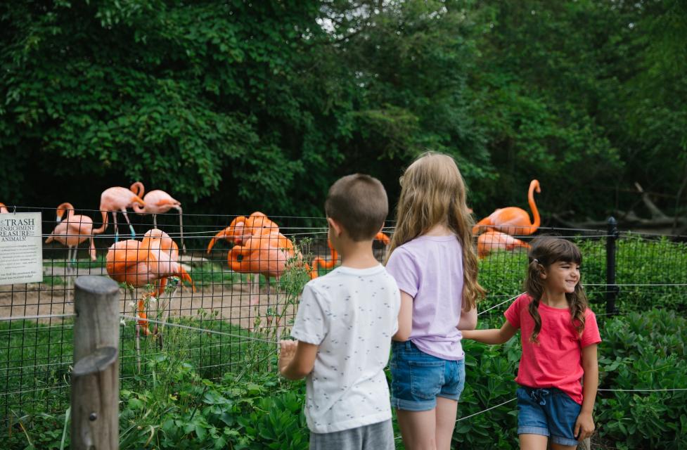 columbus zoo dinosaur island 2020