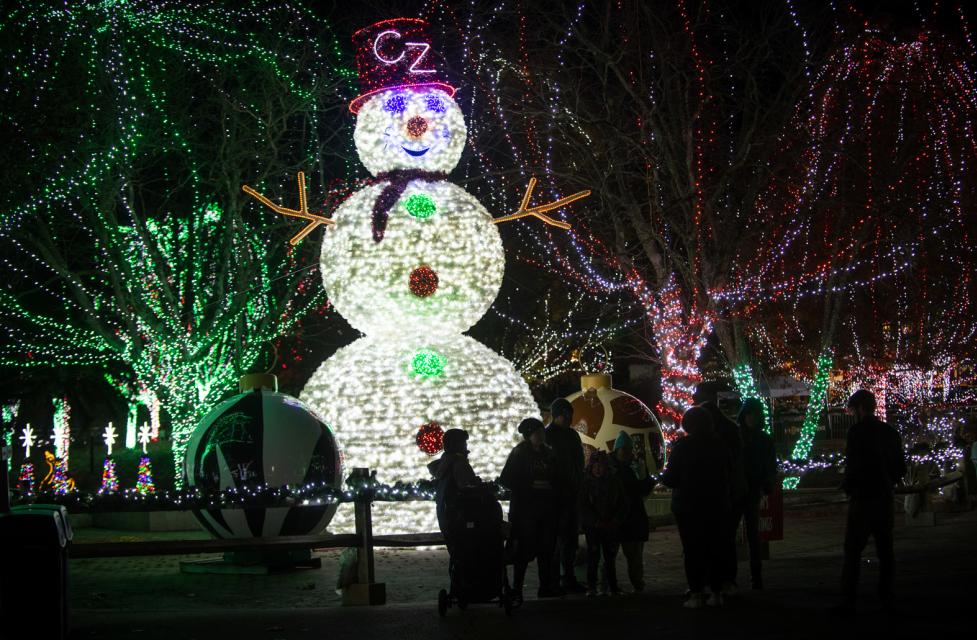 columbus zoo wildlights tour