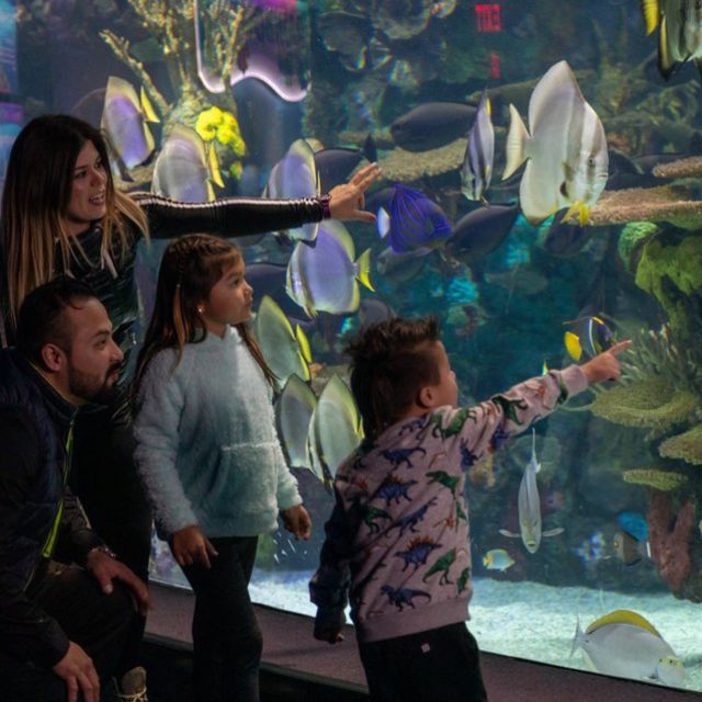 A family interacting with a fish exhibit at Ripley’s Aquarium of Canada in Toronto.