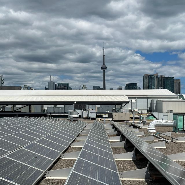 Exhibition Place Solar Panels