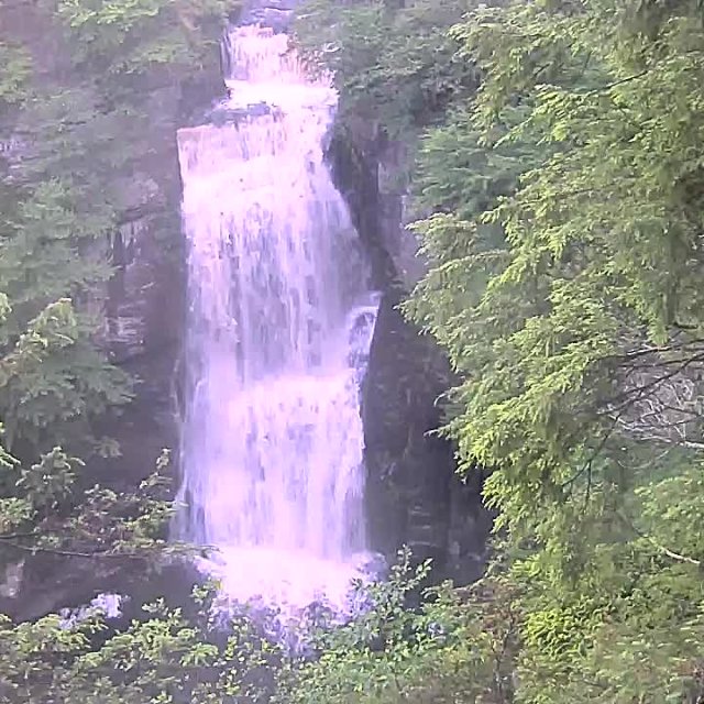 Live Webcam at Bushkill Falls in the Pocono Mountains