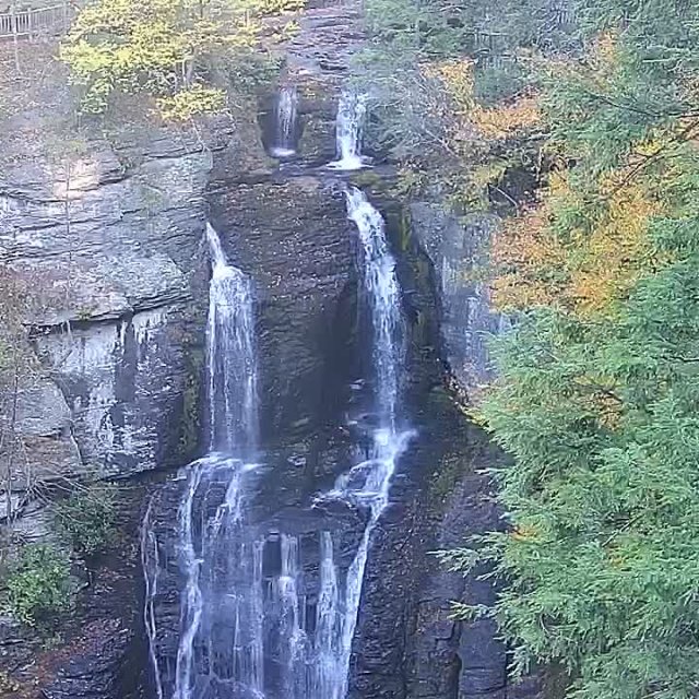 Live Webcam at Bushkill Falls in the Pocono Mountains