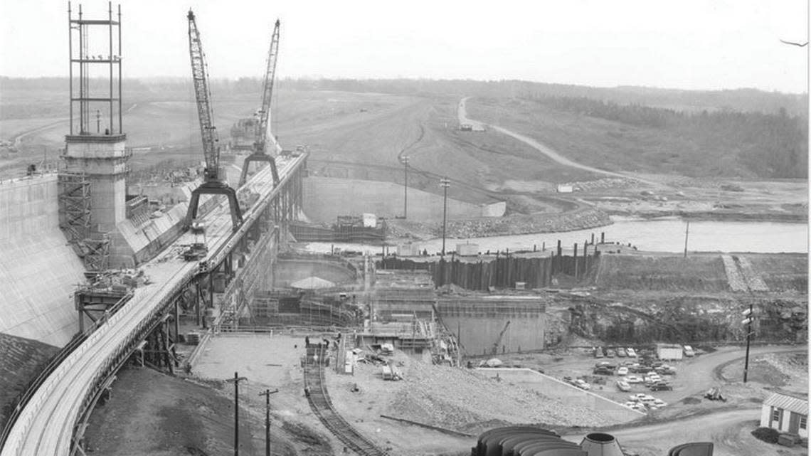 Lkn development