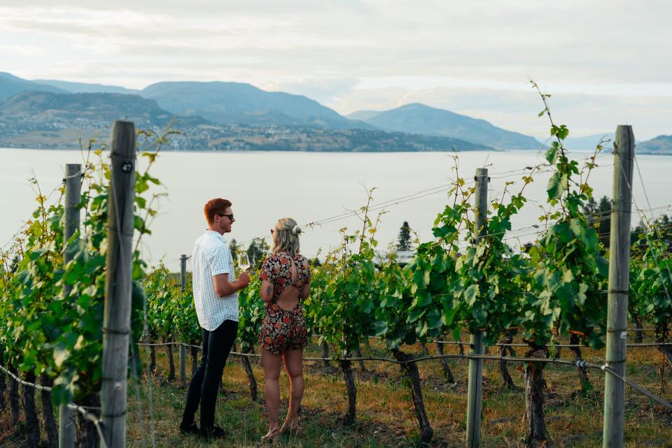 Couple in Vineyard at CedarCreek Estate Winery (1)
