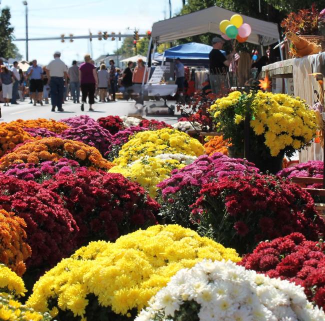 Mum Festival | Richmond Fall