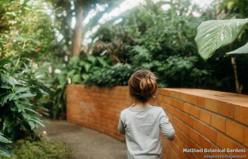 Child in matthaei botanical gardens