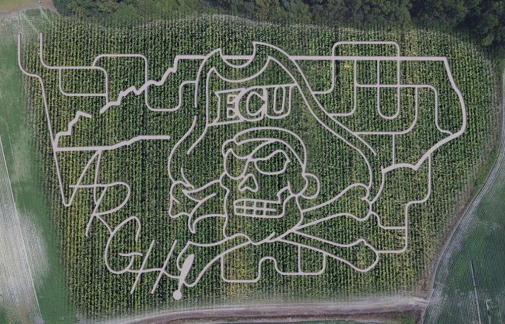photo of ECU Pirate Themed Corn Maze