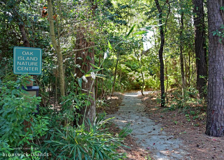 Oak Island Nature Center, sandy path through woods