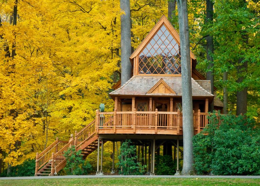 Longwood fall treehouse