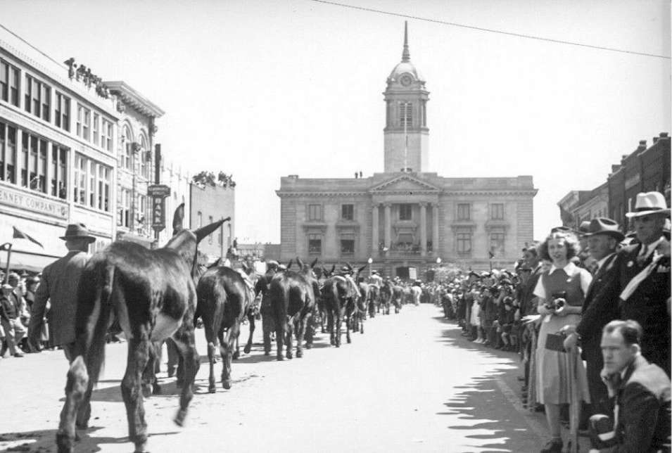 Mule Day Procession to the Square
