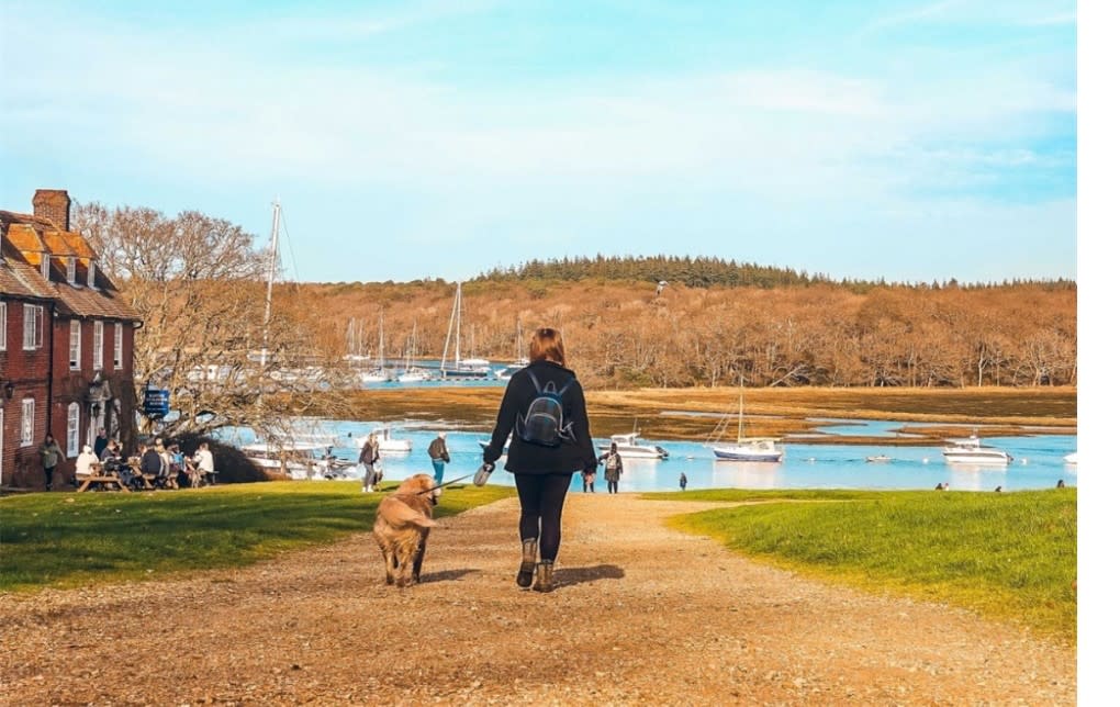 Montagu Arms - Dog walking at Buckler's Hard