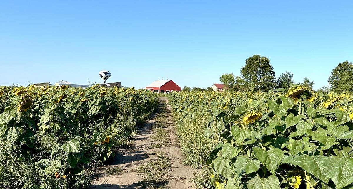 Fair Oaks Farm