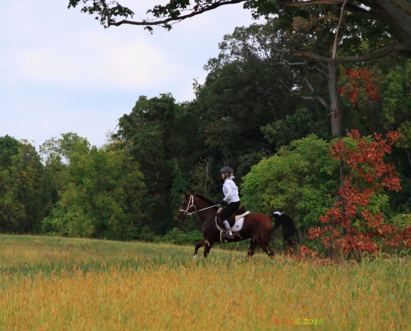 Horseback-riding in fall