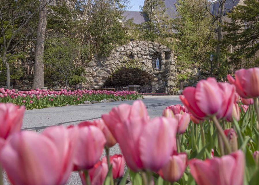 Spring time at The Grotto