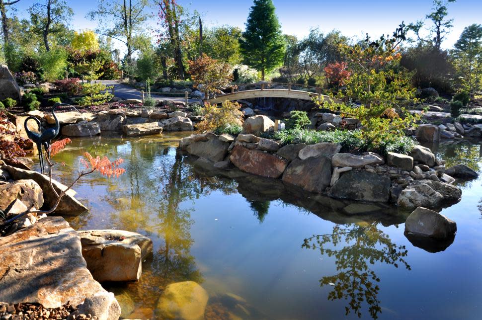 Creation Museum Koi Pond (photo: Creation Museum)