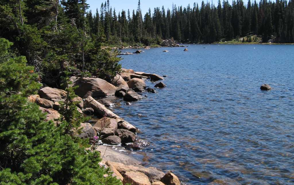 Denver Fly Fishing Visit Fly Fishing Near Denver