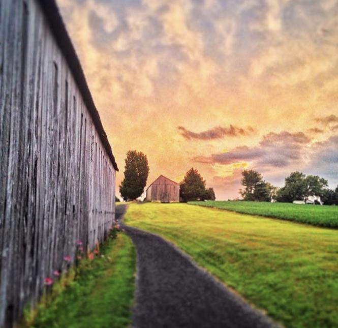 Harwood Hills Farm at sunset in southern Anne Arundel County.