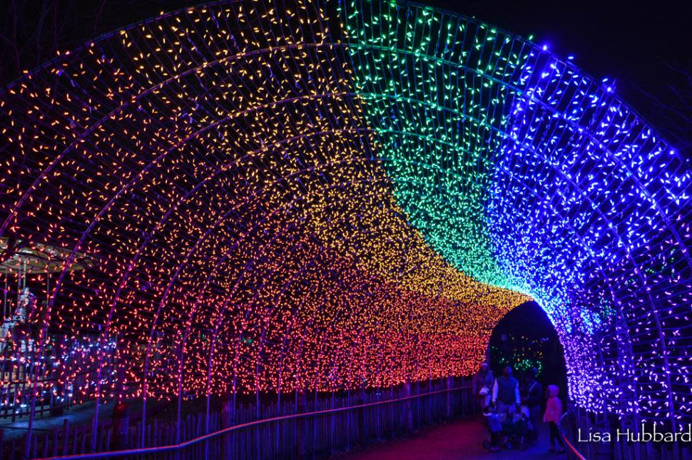 5 Things We Love About PNC Festival of Lights at Cincinnati Zoo