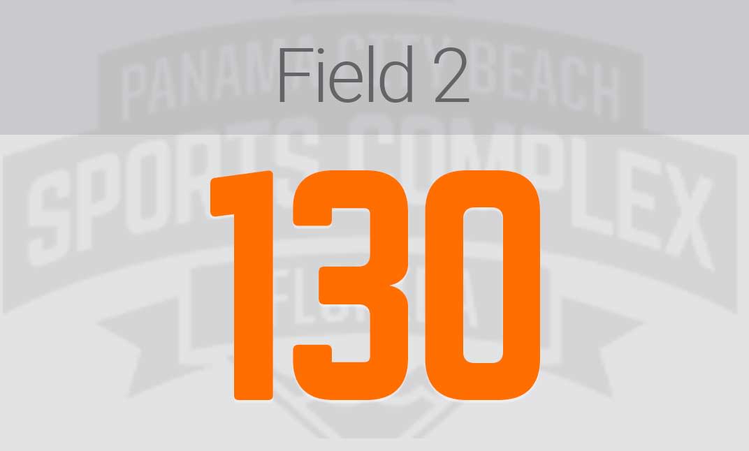 field two seating capacity
