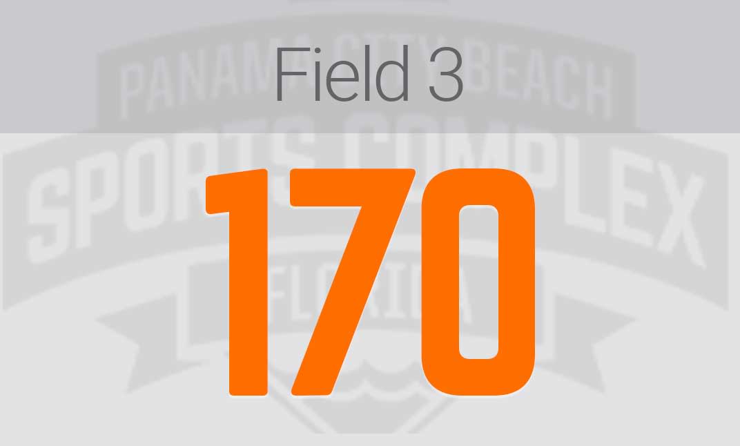 field three seating capacity