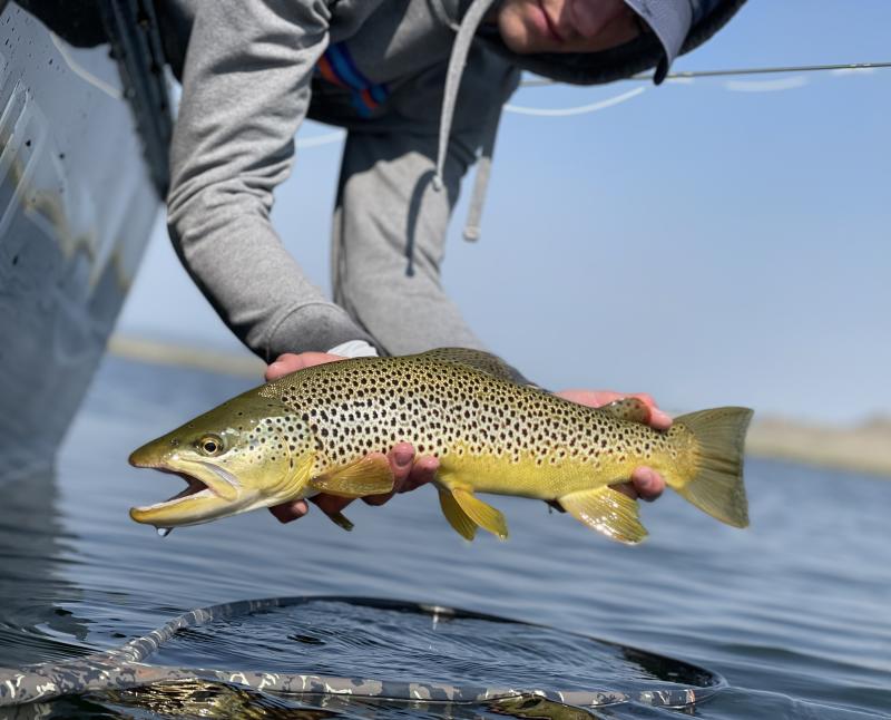 Fishing - Laramie Plaines Lakes
