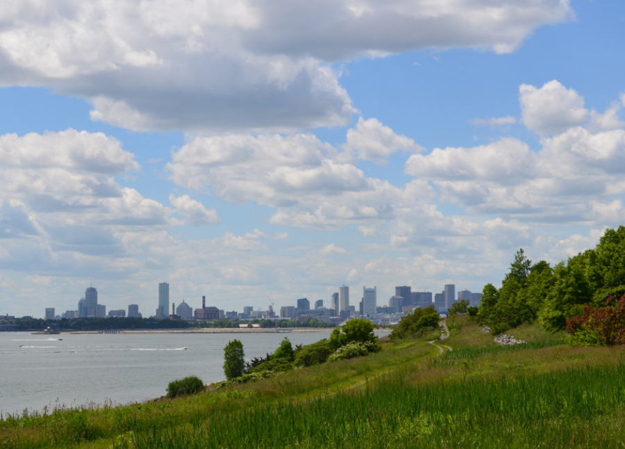 Spectacle Island - City View