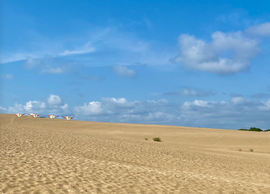 Hang gliders on the beach