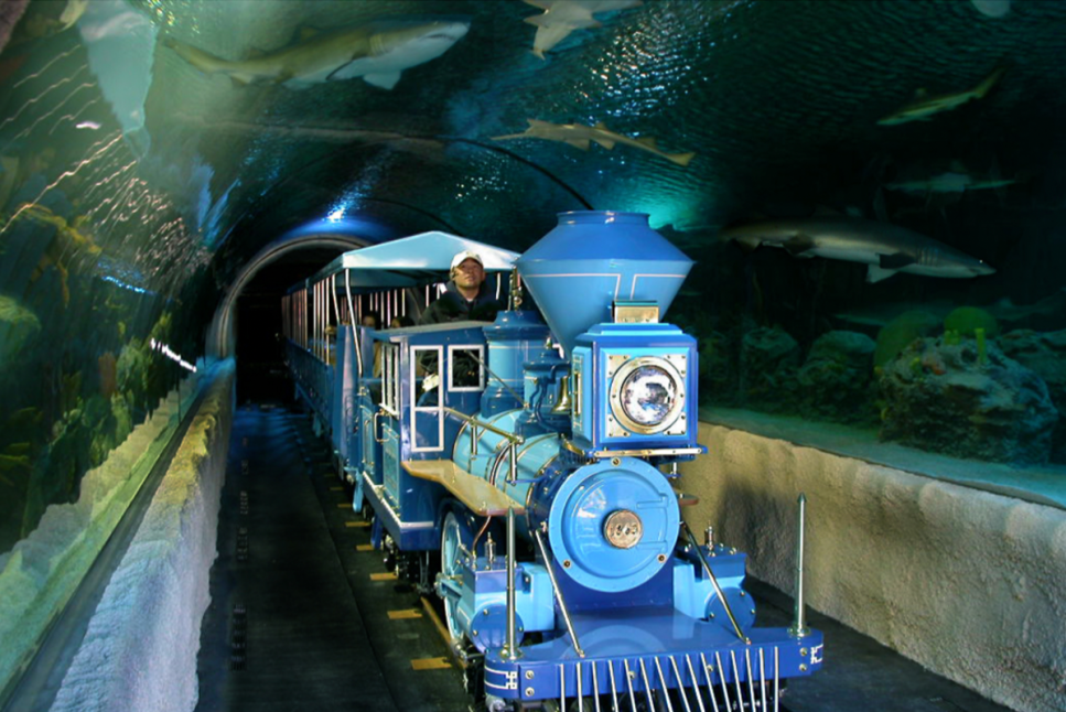 Downtown Aquarium