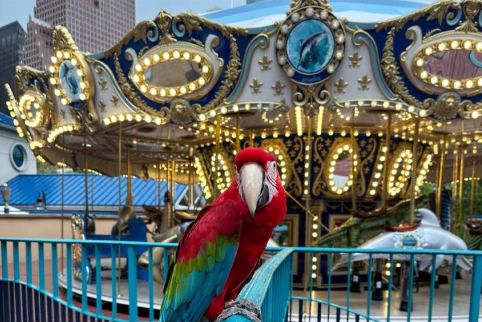 Downtown Aquarium