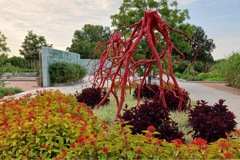 Houston Botanic Garden