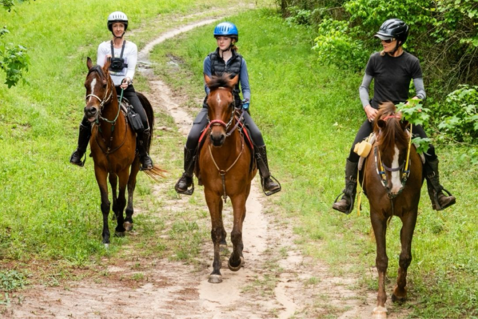 Cypress Trails Ranch