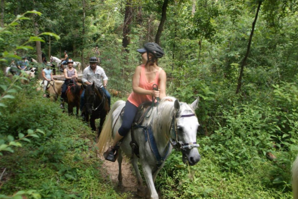 Cypress Trails Ranch