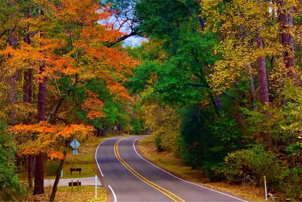 Huntsville State Park