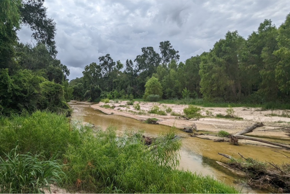 Montgomery County Nature Preserve