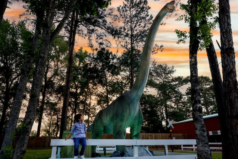 Dino 1
