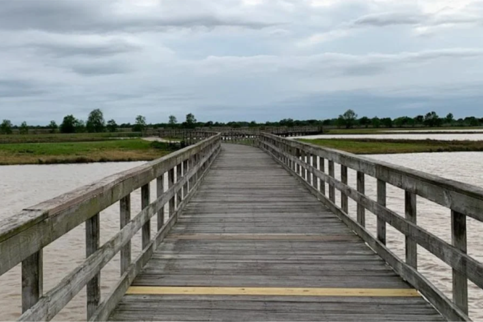Paul D. Rushing Park