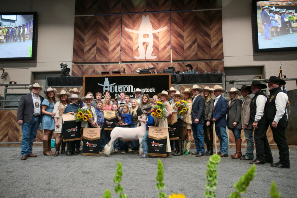 Houston Livestock Show and Rodeo