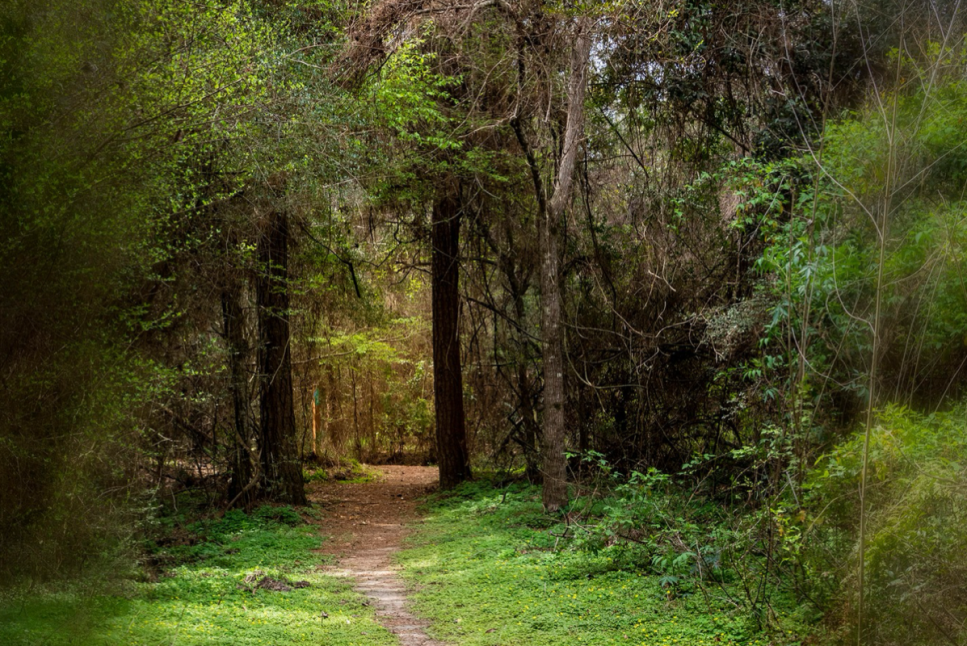 Spring Creek Greenway