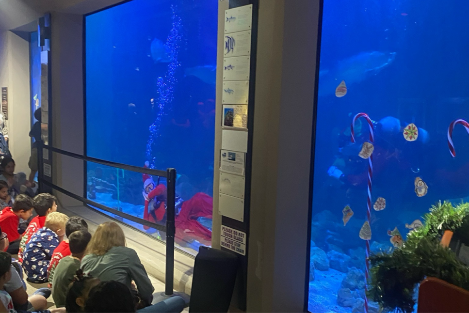 Sea Center Texas