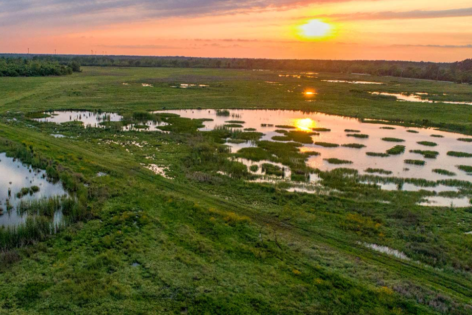 Sheldon Lake State Park & Environmental Learning Center