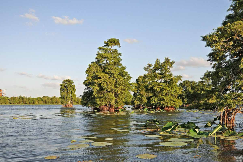 Sheldon Lake State Park & Environmental Learning Center