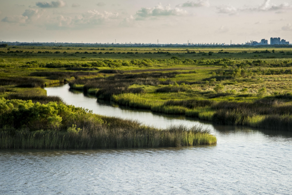 Texas City Prairie Preserve