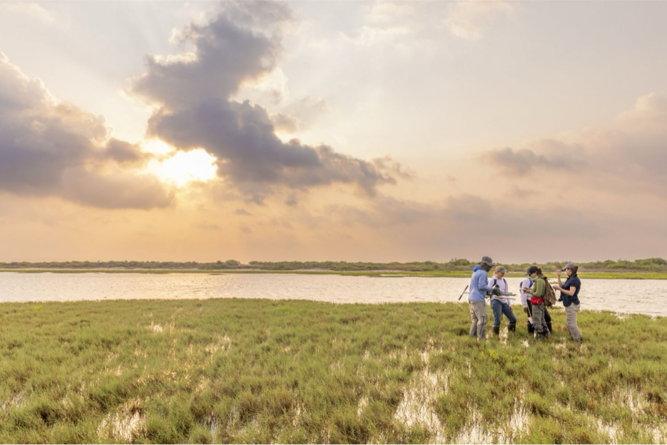 Texas City Prairie Preserve