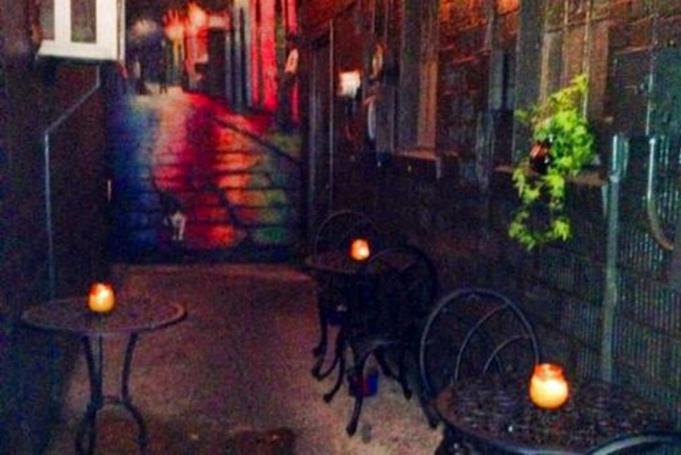 Alley Kat 3