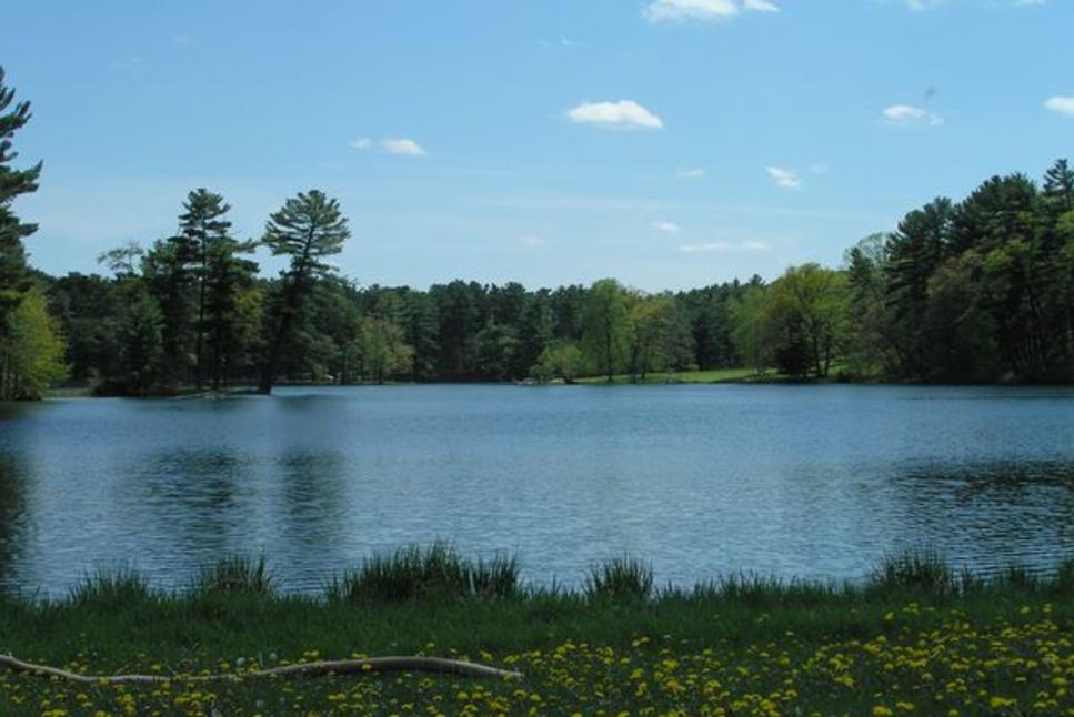 Clear Lake Park
