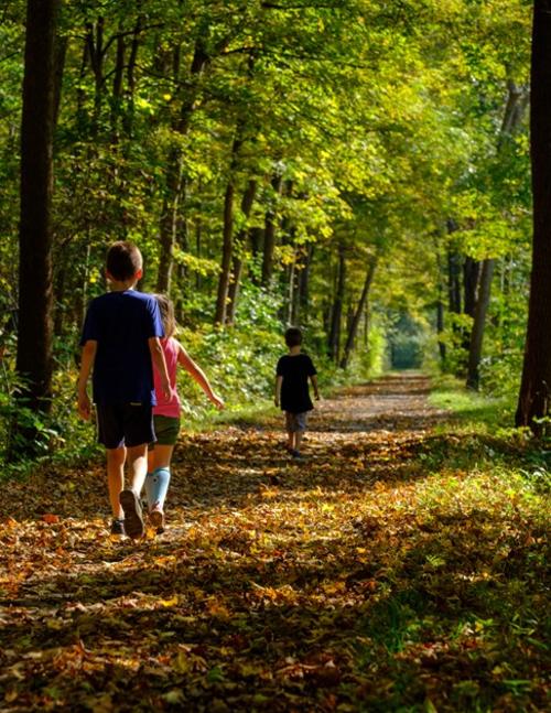"Hiking the C&O Canal at North Branch" by Ben Robeson