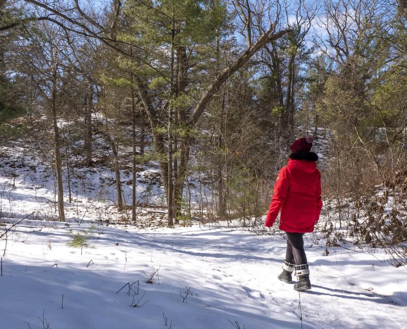 Winter Pinery with woman on trail
