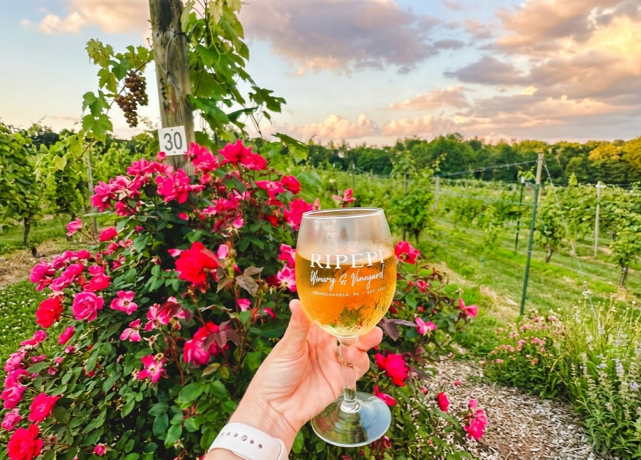 Ripepi Winery