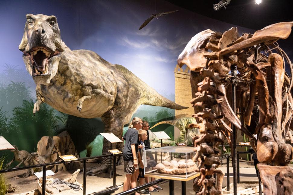 Creation Museum (photo: Answers in Genesis)