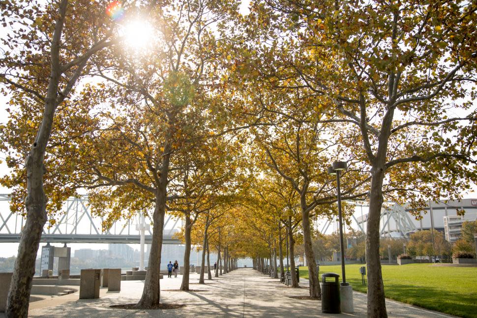 The setting sun shining through the trees at Sawyer Point (photo: CincinnatiUSA.com)